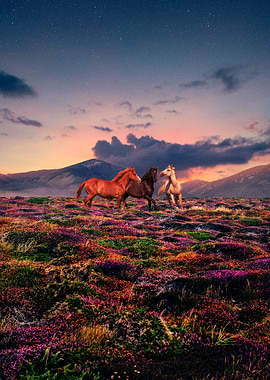 Horses in a field of flowers