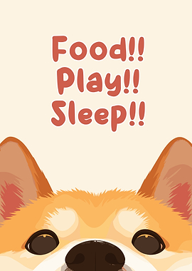 Food Play Sleep Shiba Inu