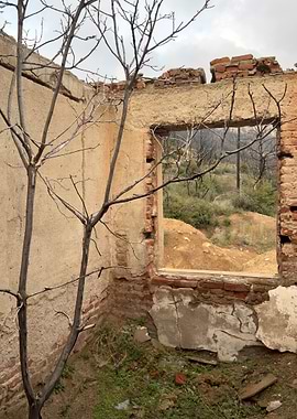 Derelict Building Interior with Nature View