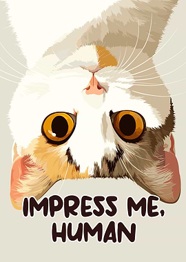 Impress Me, Human - Upside Down Cat