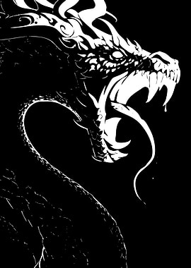 Black and White Dragon Illustration