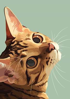 Upward Gaze of a Striped Cat