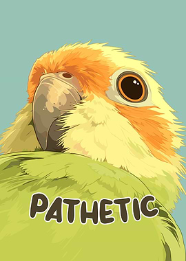 Pathetic Parrot Illustration