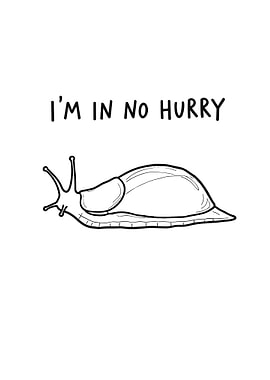 Snail: I'm in no hurry