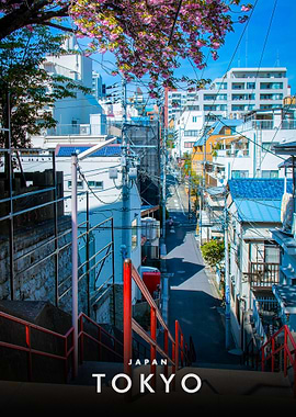 Tokyo Street View with Cherry Blossoms