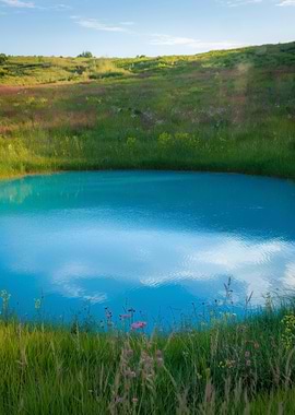 Turquoise Pond in a Green Meadow