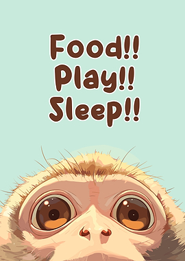 Food, Play, Sleep Monkey