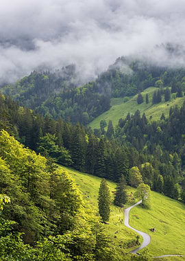 Mountain Road Through Lush Green Landscape