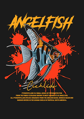 Angelfish Cichlids Tropical Fish Keeper