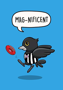 Magnificent Magpie