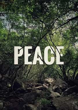 Peaceful Forest Path