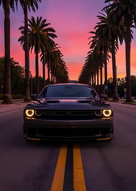 Black Car Palm Trees
