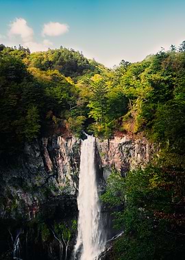 Waterfall in Lush Green Forest