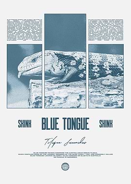 Blue Tongue Skink Poster