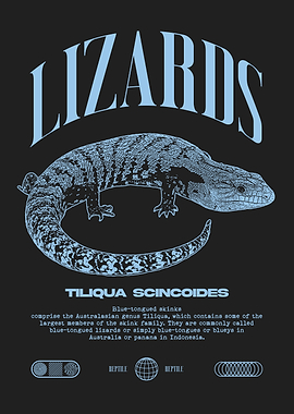 Blue Tongue Skink Lizard Reptile Keeper