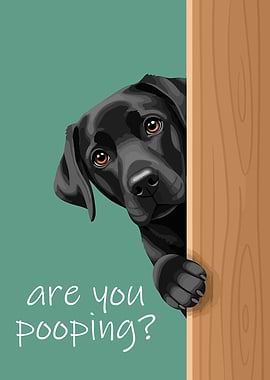 Curious Dog Asks 'Are You Pooping?'