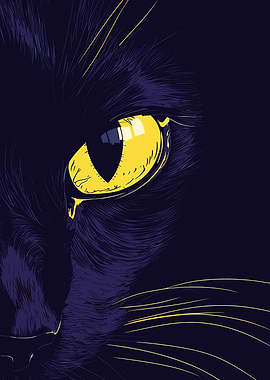 Close-up of a Black Cat's Eye