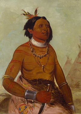 Native American Portrait Painting by george catlin