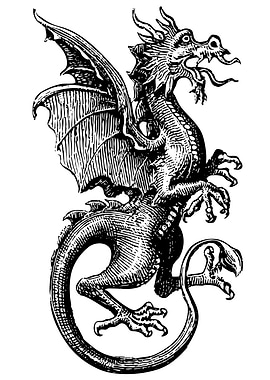 Dragon Illustration Black and White