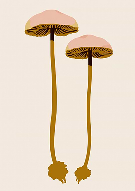Two Mushrooms Illustration