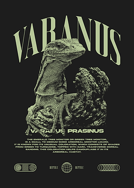 Greeen Tree Monitor Varanus Prasinus Reptile Keeper