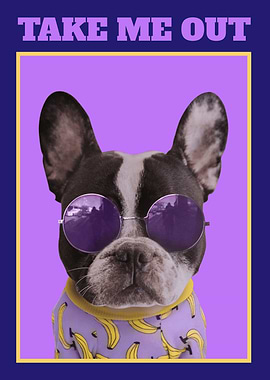 Take Me Out – Cool French Bulldog In Sunglasses