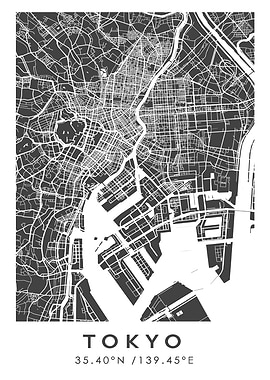 Tokyo City Map Art Print