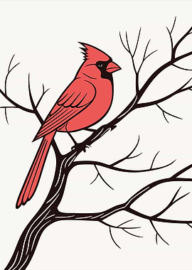 Cardinal Bird on Branch Illustration