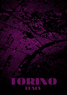 Torino, Italy City Map Art