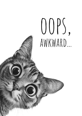 Oops, Awkward Cat