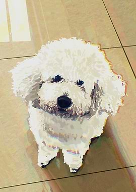 Cute White Dog Portrait