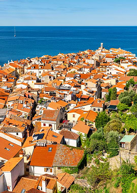 Coastal Town with Orange Roofs