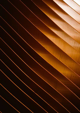 Abstract Diagonal Bronze Lines