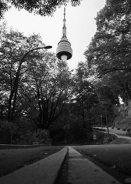 N Seoul Tower Black and White