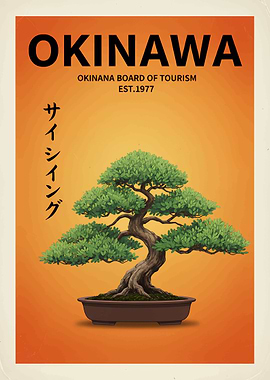 Okinawa with Bonsai Tree