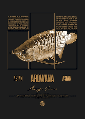 Arowana Fish Keeper