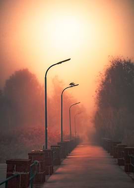 Foggy Path with Streetlights