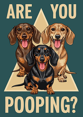 Are You Pooping? Dachshund Dogs