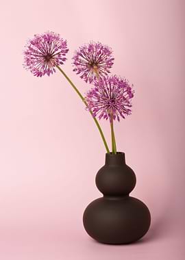 Allium Flowers in a Black Vase