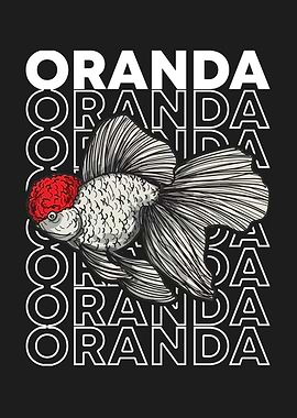Oranda Goldfish Fish Keeper Poster