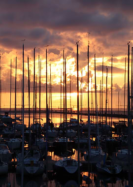 Marina at Sunset