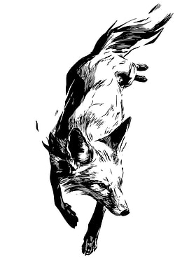 Fox Illustration in Black and White