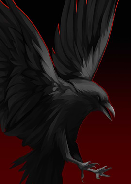 Raven in Flight
