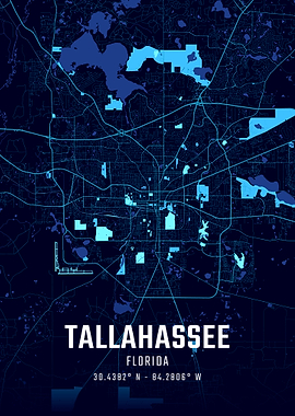 Tallahassee Midnight City Map