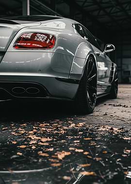 Sport Car Indoor Showcase - Artificial Series 13