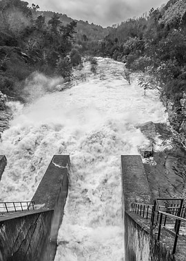 Dam Release