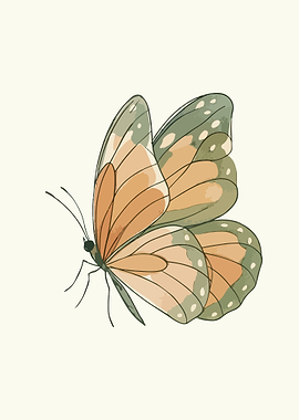 Watercolor Butterfly Illustration