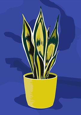 Snake Plant in Yellow Pot on Cobalt Blue