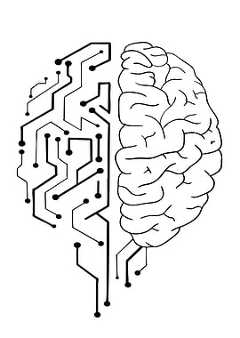 Brain Circuitry