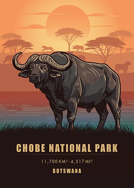 Vintage Chobe National Park Buffalo Poster , Botswana Big Five Art , Retro Wildlife Print